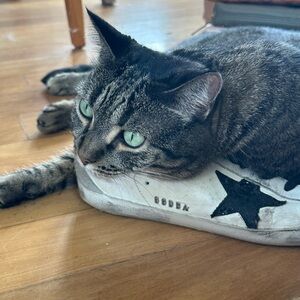 Random Boutique pulls